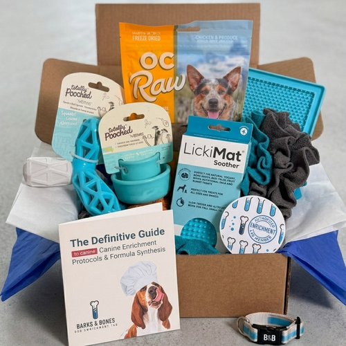 Collection of pet care products including toys, a guidebook, and accessories on a gray background