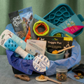Dog care products including treats, toys, and feeding accessories in a basket on a gray surface with a green curtain background.